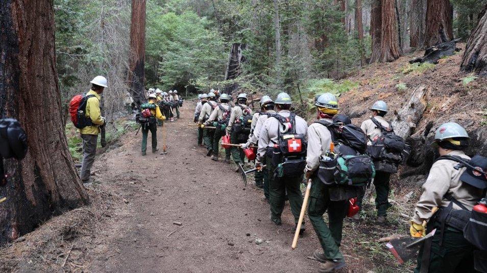 CAL FIRE announces $10 million in Grants to Strengthen California’s Forest Workforce and Expand Forest Restoration Efforts