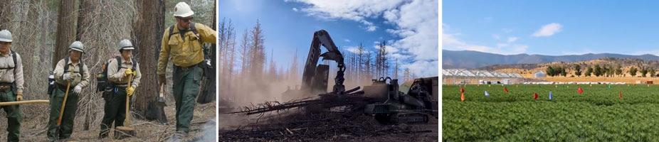 $5 MILLION AVAILABLE FOR FOREST-SECTOR BUSINESS AND WORKFORCE DEVELOPMENT PROJECTS - Cover Image